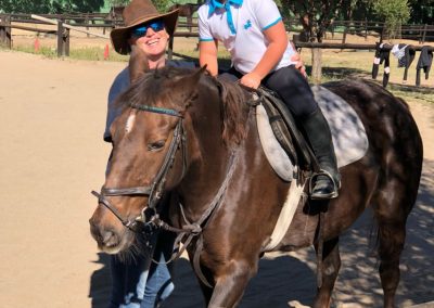 Chartwell Stables Training Show