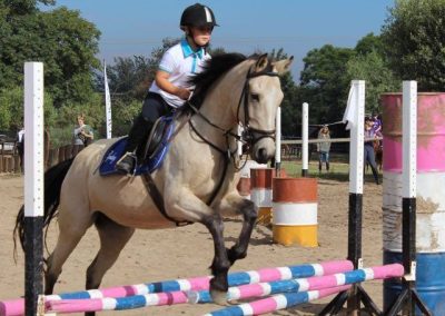 Chartwell Stables Training Show