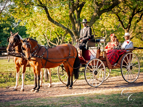 Carriage Driving Services